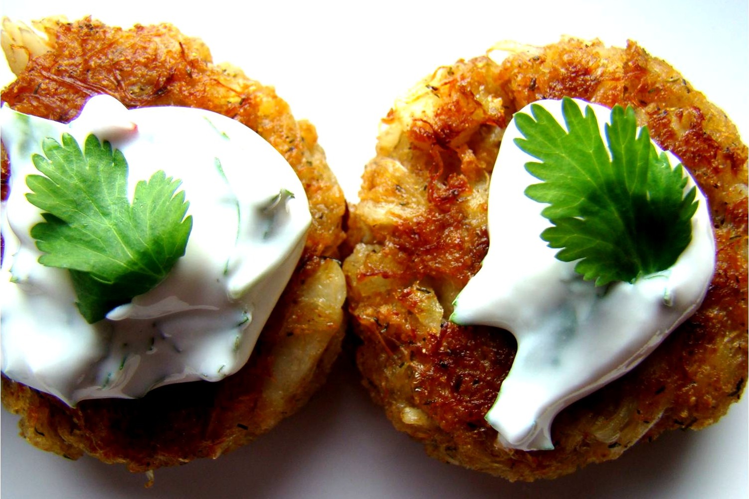 crab-cakes-with-cilantro-sour-cream-sauce-recipe