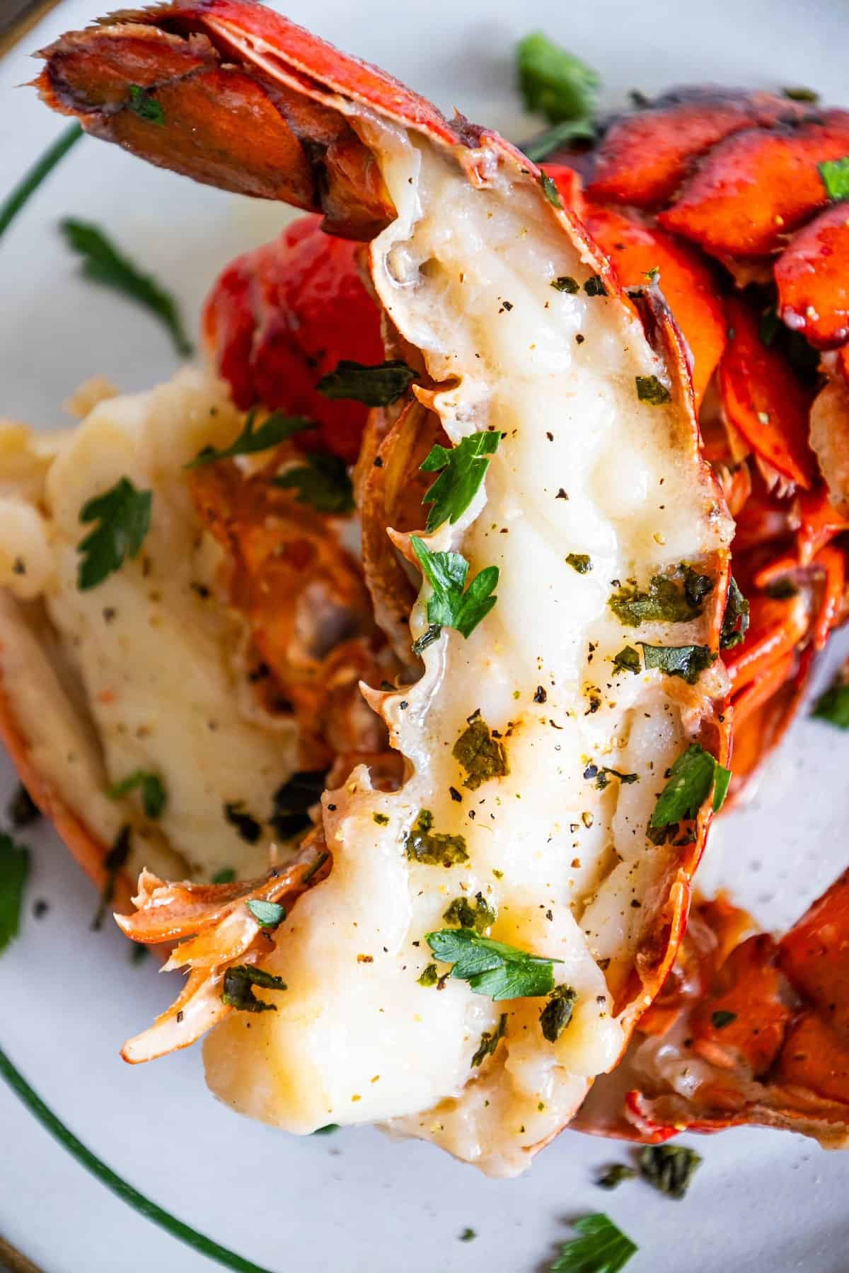 lobster-colorado-recipe