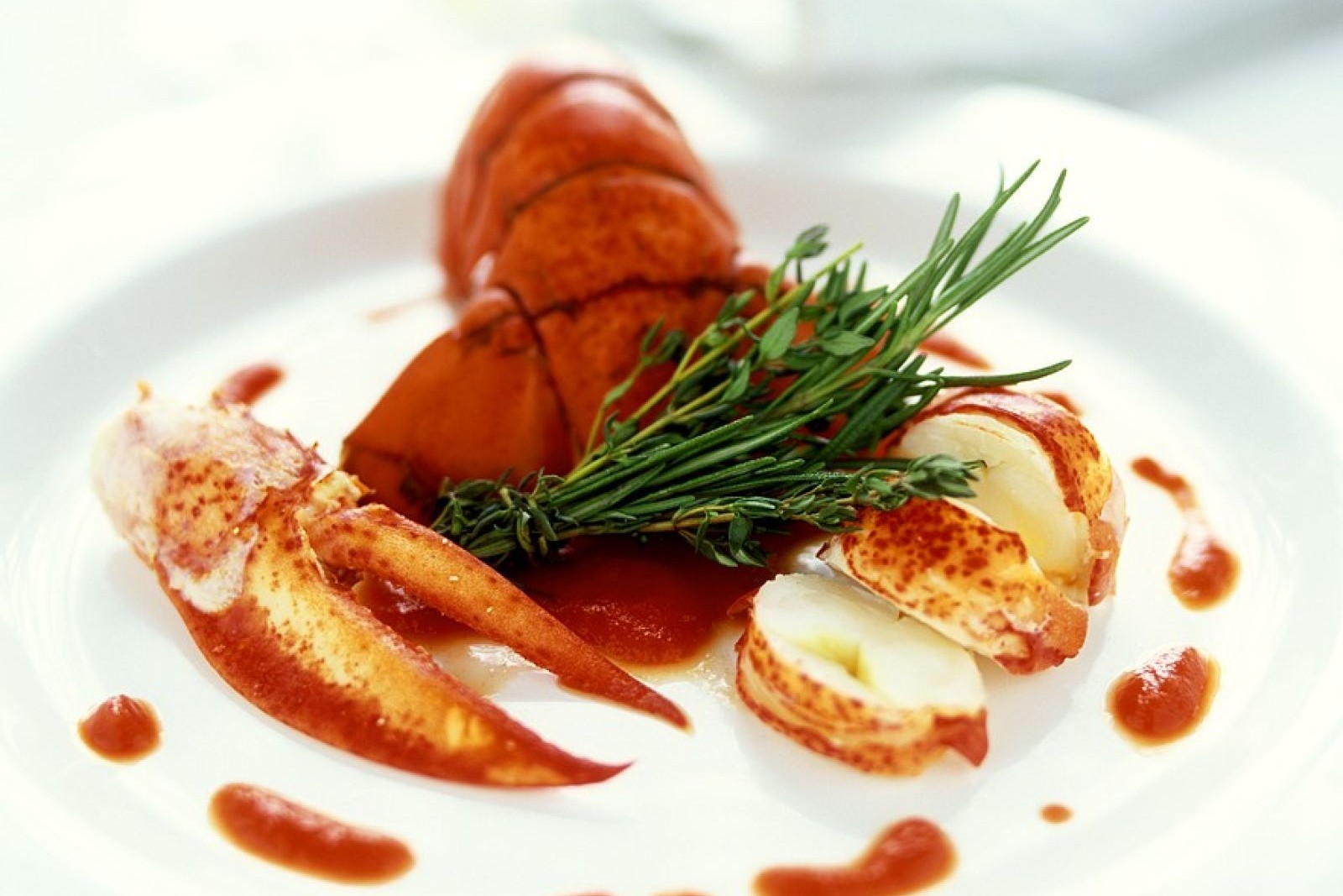 lobster-tomato-sauce-recipe