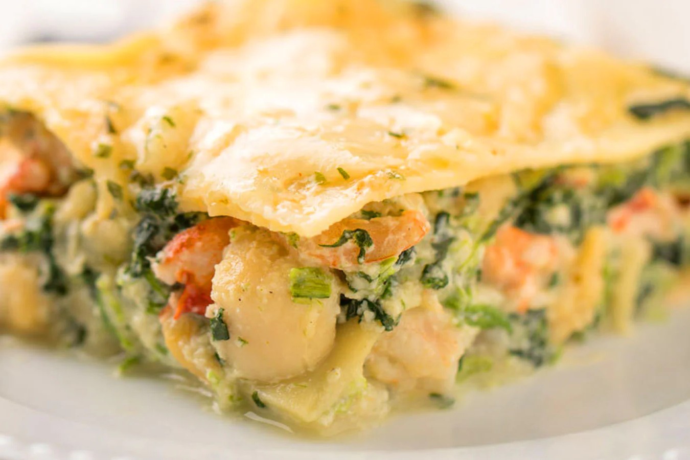 maine-lobster-lasagna-recipe