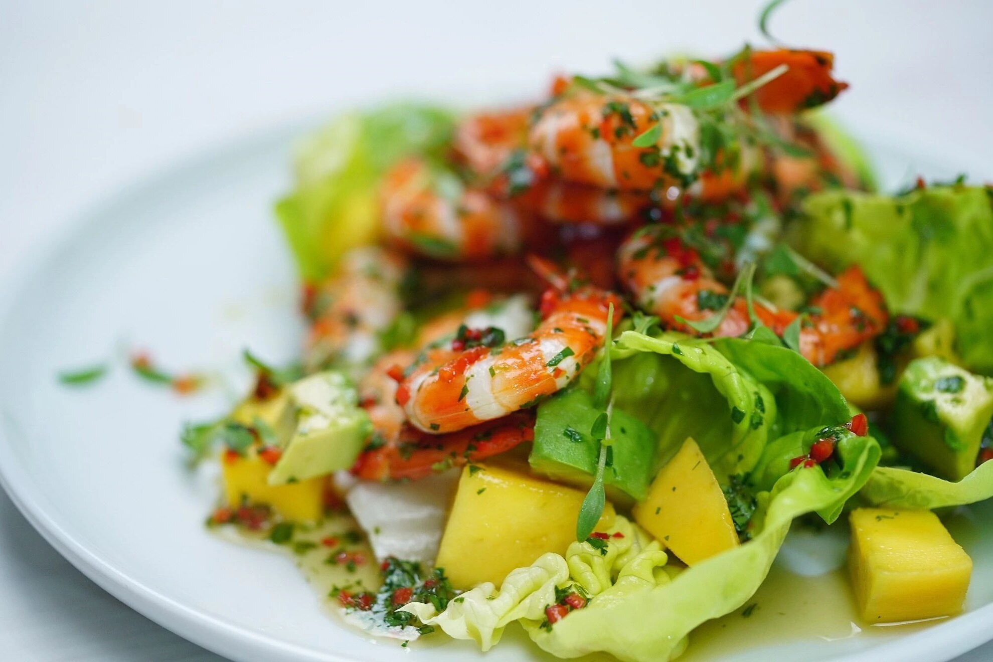 mango-shrimp-salad-recipe