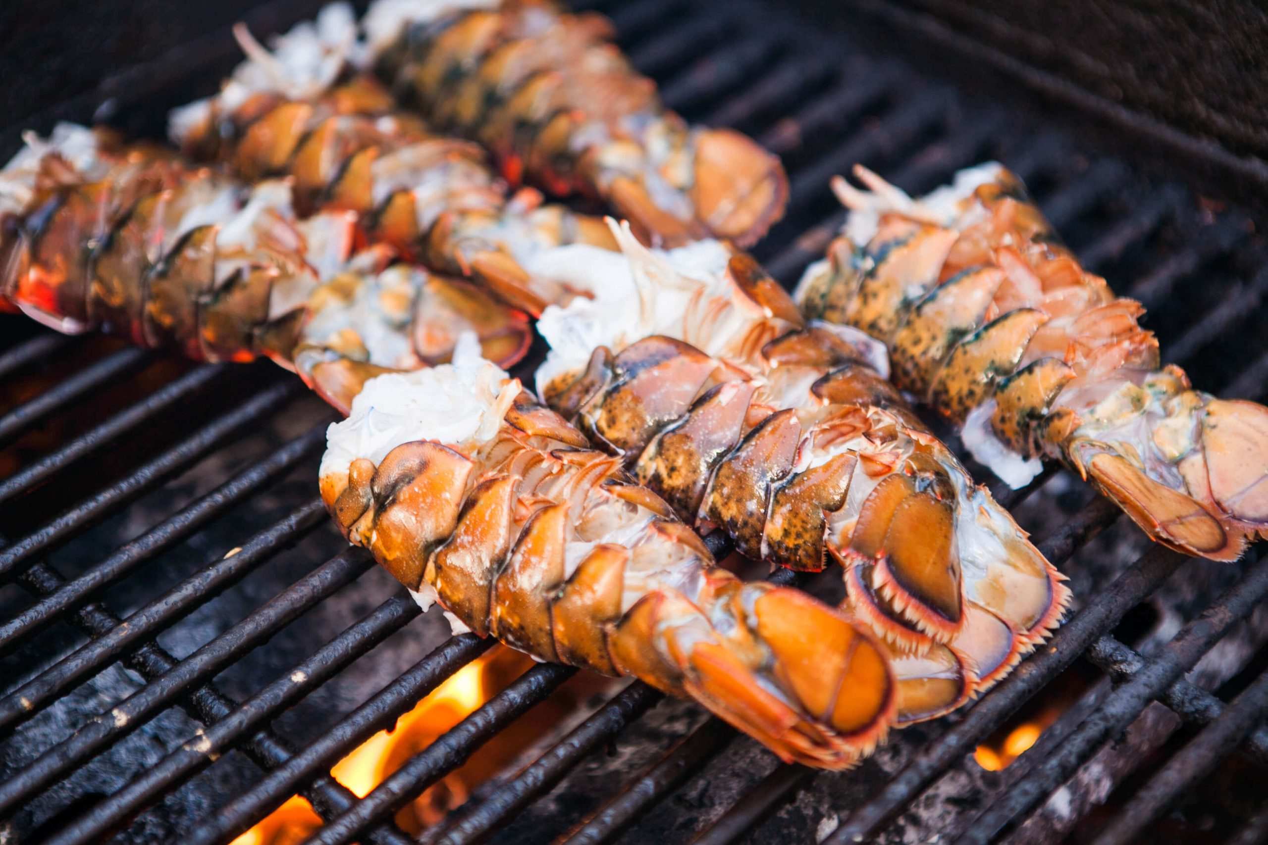 grilled-lobster-tails-recipe